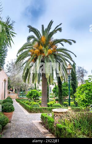 Rabat, Marocco - 23 marzo 2024: Oasi di freschezza molto apprezzata dal Rabatis, il giardino delle Oudayas, situato nella Kasbah delle Oudayas i Foto Stock