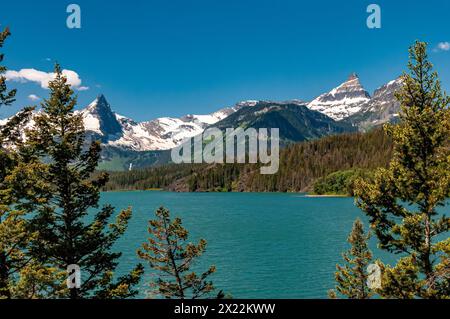 Montagne, laghi e alberi da Sunspot Point nel Glacier National Park Foto Stock