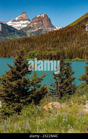 Montagne, laghi e alberi da Sunspot Point nel Glacier National Park Foto Stock