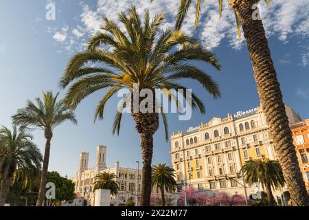 Palme, edifici in via Roma, Cagliari, Sardegna, Italia Foto Stock
