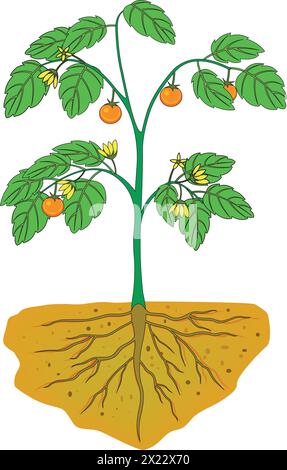 Parti vettoriali di un impianto Illustrazione Vettoriale