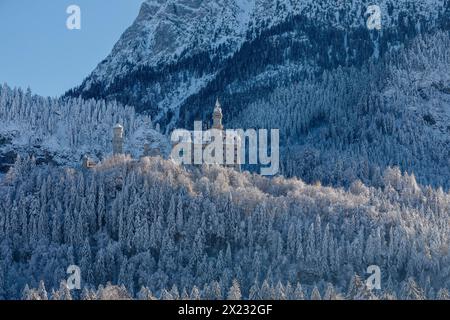 Castello di Neuschwanstein, Schwangau, nei pressi di Fuessen, Allgaeu, Baviera, Germania, Fuessen, Baviera, Germania Foto Stock