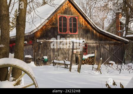 Vecchio fienile rustico in legno con finestre rifinite rosse incorniciate da alberi nel giardino sul retro in inverno, Quebec, Canada. Questa immagine è proprietà rilasciata. PR0190 Foto Stock