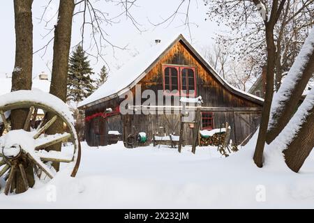 Vecchio fienile rustico in legno con finestre rifinite rosse incorniciate da alberi nel giardino sul retro in inverno, Quebec, Canada Foto Stock