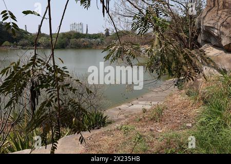 Lago nel giardino botanico di Lalbagh, Bengaluru, Karnataka, India. Foto Stock