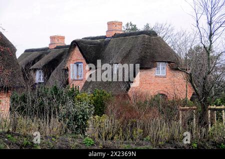 Sylt, Isola della Frisona settentrionale, Schleswig Holstein, case tradizionali con tetti in paglia e facciate in mattoni circondate da siepi, Sylt, Frisia settentrionale Foto Stock