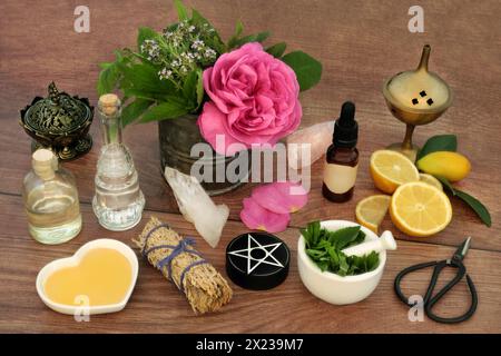 Preparazione pozione d'amore per incantesimi magici con ingredienti di fiori di rosa, timo, menta, limone e miele. Divinazione occulta concetto esoterico. Foto Stock