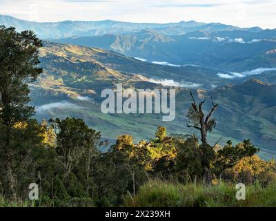 Paesaggio montano Highlands orientali, Papua nuova Guinea Foto Stock