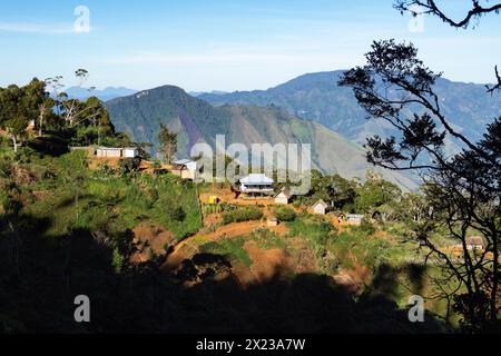Villaggio di Kiowe nella foresta pluviale di montagna, Highlands orientali, Papua nuova Guinea Foto Stock