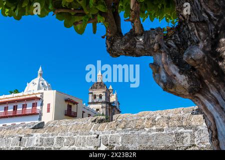 Mura cittadine con cattedrale, Cartagena, Colombia, America Foto Stock