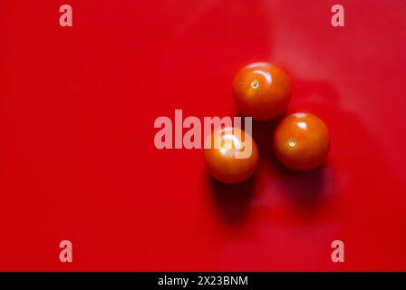 Tre pomodori ciliegini su sfondo rosso. Immagine di natura morta minimalista Foto Stock