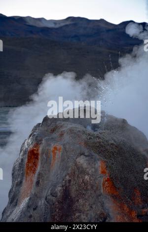 Cile; Cile settentrionale; regione di Antofagasta; deserto di Atacama; geyser El Tatio; il più grande campo di geyser dell'emisfero meridionale Foto Stock