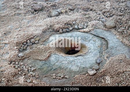 Cile; Cile settentrionale; regione di Antofagasta; deserto di Atacama; geyser El Tatio; il più grande campo di geyser dell'emisfero meridionale; apertura inferiore del geyser; S Foto Stock