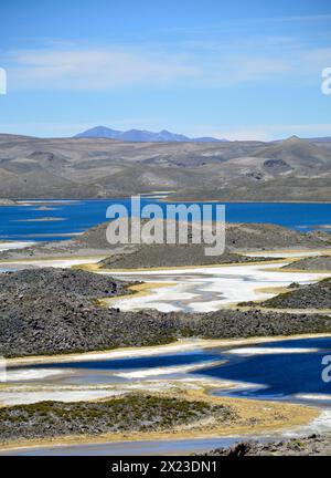 Cile; Cile settentrionale; regione Arica y Parinacota; Parco Nazionale Lauca; Laguna Cotacotani Foto Stock