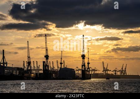 Porto di Amburgo, vista del cantiere Blohm + Voss, in serata, gru dei terminal container, Amburgo Germania, Foto Stock