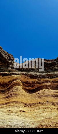 La splendida natura e i dettagli di Tenerife. Tenerife, Spagna Foto Stock