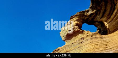 La splendida natura e i dettagli di Tenerife. Tenerife, Spagna Foto Stock