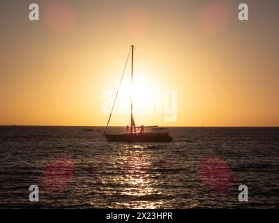 La splendida natura e i dettagli di Tenerife. Tenerife, Spagna Foto Stock