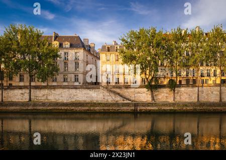 Luce mattutina sulle rive del fiume Senna e dell'Ile Saint Louis con aspen tress. Parigi (4° arrondissement). Sito patrimonio dell'umanità dell'UNESCO, Francia Foto Stock