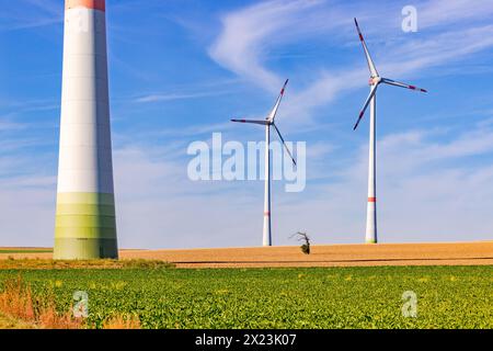 Vecchio albero solitario su un terreno agricolo arido nel mezzo di enormi turbine eoliche al sole Foto Stock