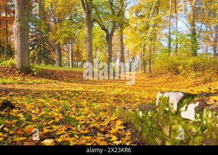 Sentiero escursionistico vicino alle rovine del monastero di Limburgo in autunno, Bad Dürkheim, Renania-Palatinato, Germania Foto Stock