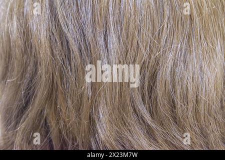 Primo piano di capelli biondi come sfondo. I lunghi capelli biondi delle donne. Ricci luminosi e ondulati. Colorazione dei capelli. Procedure di parrucchiere, estensione. Foto Stock