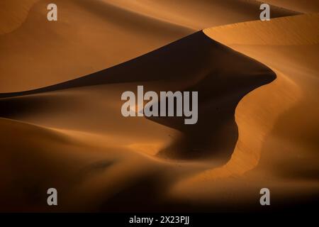 Dune di sabbia a Erg Chigaga, Marocco Foto Stock