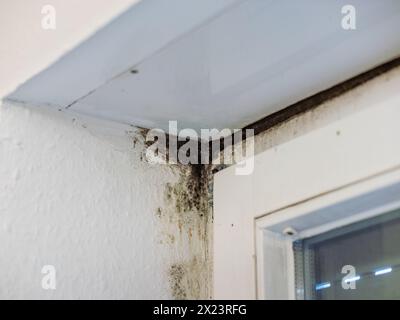 Stampo nero all'angolo di un telaio della finestra a causa di una parete fredda e umida. Errore di costruzione di un edificio residenziale che causa un ambiente malsano Foto Stock