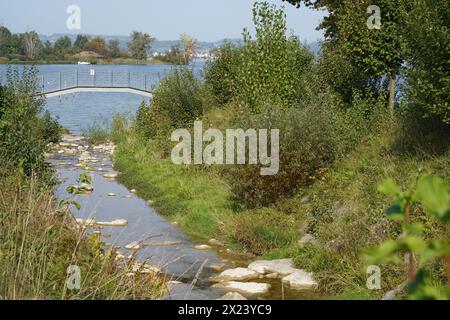 Piccolo torrente che entra in un lago di Zurigo in Svizzera con un ponte bianco sopra di esso. Foto Stock