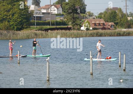 Alzati in piedi per un gruppo di pagaie sul lago Obersee, parte del lago di Zurigo, nel villaggio di Altendorf. Foto Stock