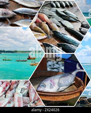 Pesca sulle coste dello Sri Lanka. Collage fotografico. Foto Stock