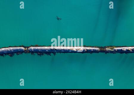 Oceani, aerei e acque con foche su oleodotti in natura per l'ambiente, l'ecologia e il trasporto di petrolio. Drone, metallo e mare con animali marini Foto Stock