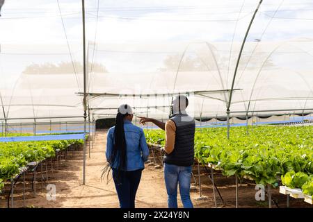 Due giovani agricoltori afroamericani camminano attraverso una fattoria idroponica in una serra Foto Stock