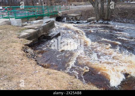 Alluvione primaverile. Acqua affrettata nel fiume. Acqua ferrosa scura precipita nel flusso. Carelia, fiume Lososinka in primavera. Inondazioni, tsunami e clima Foto Stock