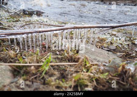 Il ghiaccio è acqua allo stato solido di aggregazione. Ghiaccioli e stalattiti sui rami degli alberi vicino all'acqua. Alluvione primaverile. l'acqua forma cristalli di una c Foto Stock