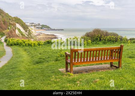 Una panchina vicino a Castle Cove che si affaccia sulla baia di Ventnor sull'isola di Wight, Inghilterra, Regno Unito Foto Stock