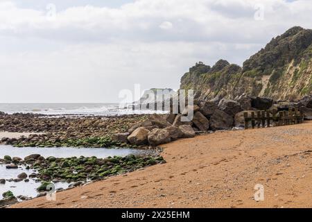 La costa del canale a Steephill Cove Beach vicino a Castle Cove, Isola di Wight, Inghilterra, Regno Unito Foto Stock