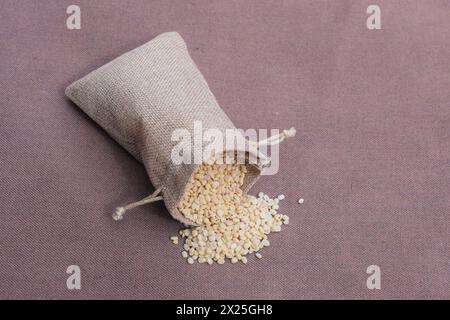 Lenticchie bianche biologiche crude, vigna mungo in una borsa gunny. Primo piano di urad dal bianco lucidato a fessura organica (Vigna mungo) fuoriuscita da una borsa di iuta Foto Stock