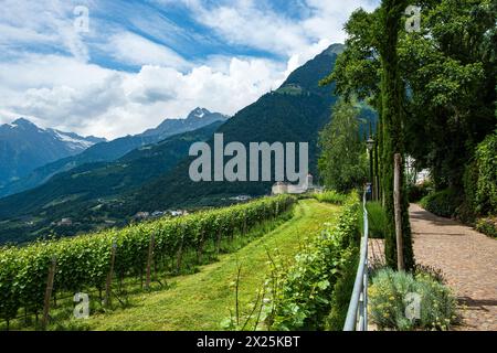 Castello Tirolo visto dal Tirolo Tirolo, castello medievale ancestrale dei conti Tirolo vicino a Merano, Burgraviato, alto Adige, Italia. Foto Stock