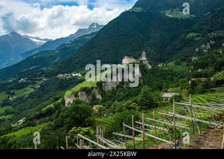 Castello Tirolo visto dal Tirolo Tirolo, castello medievale ancestrale dei conti Tirolo vicino a Merano, Burgraviato, alto Adige, Italia. Foto Stock