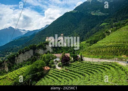 Castello Tirolo visto dal Tirolo Tirolo, castello medievale ancestrale dei conti Tirolo vicino a Merano, Burgraviato, alto Adige, Italia. Foto Stock
