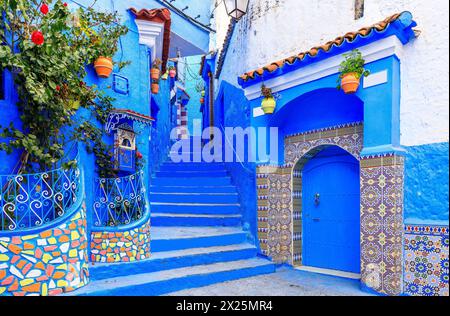 Chefchaouen, Marocco. La vecchia città fortificata, o medina con le sue case tradizionali dipinte in blu e bianco. Foto Stock