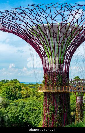 L'OCBC Skyway, a 22 metri dal suolo, è una passerella aerea lunga 128 metri tra due dei Super alberi del Gardens by the Bay di Singapore Foto Stock