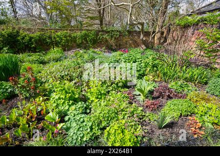 Confini erbacei nel Parsonage Garden presso il giardino botanico Fletcher Moss a Didsbury, a South Manchester. Foto Stock