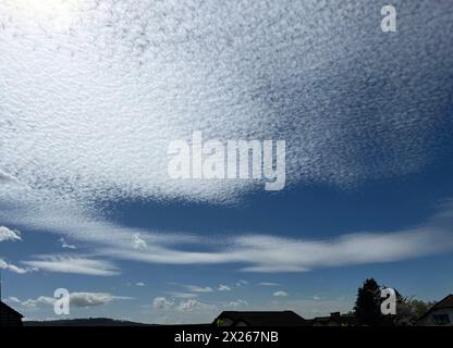 Schaefchenwolken, Cirrocumulus undulatus kuendigen Regen An. Nuvole voluminose, Cirrocumulus undulatus, pioggia di araldo Schaefchenwolken, Cirrocumulus, undula Foto Stock