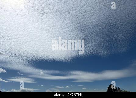 Schaefchenwolken, Cirrocumulus undulatus kuendigen Regen An. Nuvole voluminose, Cirrocumulus undulatus, pioggia di araldo Schaefchenwolken, Cirrocumulus, undula Foto Stock