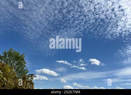 Schaefchenwolken, Cirrocumulus undulatus kuendigen Regen An. Nuvole voluminose, Cirrocumulus undulatus, pioggia di araldo Schaefchenwolken, Cirrocumulus, undula Foto Stock