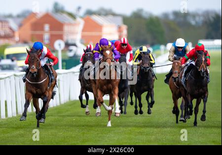 Newbury, Regno Unito , sabato 20 aprile 2024. Esquire e Daniel Tudhope vincono il Watership Down Stud Too Darn Hot Greenham Stakes Group 3 per l'allenatore David o'Meara e il proprietario Cheveley Park Stud. Crediti JTW equine Images / Alamy Live News Foto Stock