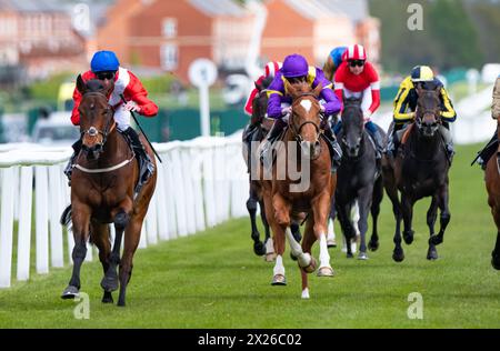 Newbury, Regno Unito , sabato 20 aprile 2024. Esquire e Daniel Tudhope vincono il Watership Down Stud Too Darn Hot Greenham Stakes Group 3 per l'allenatore David o'Meara e il proprietario Cheveley Park Stud. Crediti JTW equine Images / Alamy Live News Foto Stock