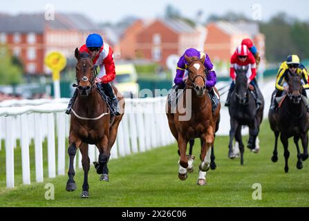 Newbury, Regno Unito , sabato 20 aprile 2024. Esquire e Daniel Tudhope vincono il Watership Down Stud Too Darn Hot Greenham Stakes Group 3 per l'allenatore David o'Meara e il proprietario Cheveley Park Stud. Crediti JTW equine Images / Alamy Live News Foto Stock